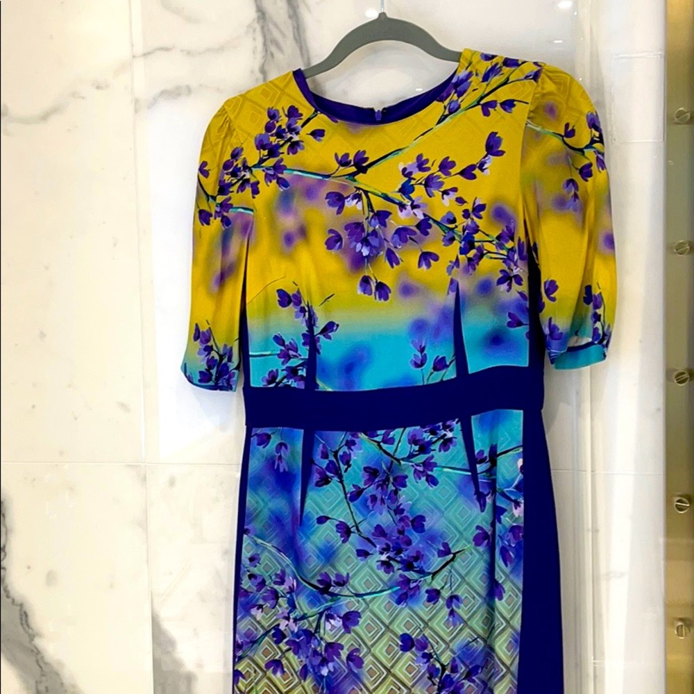 Teri Jon dress